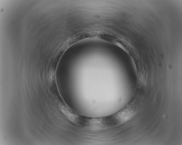 X0000064730574200602171645