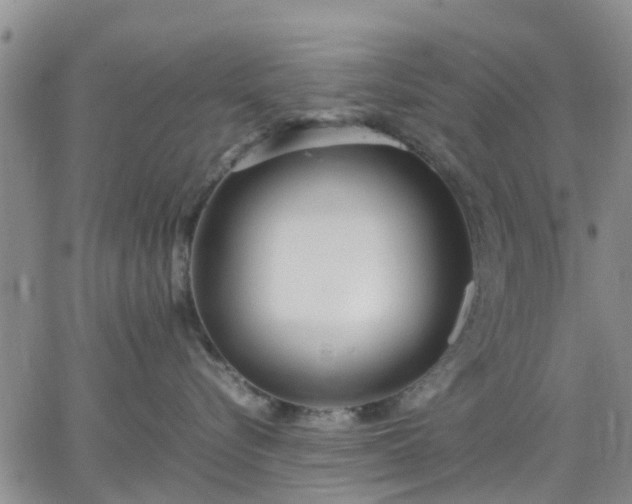 X0000064730576200602171645