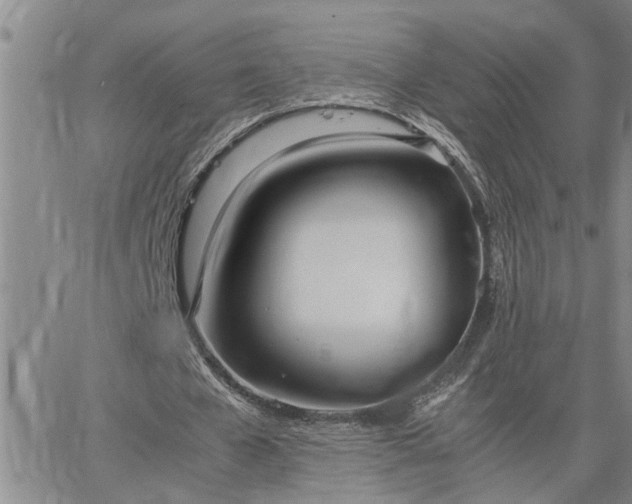 X0000064730577200602171644