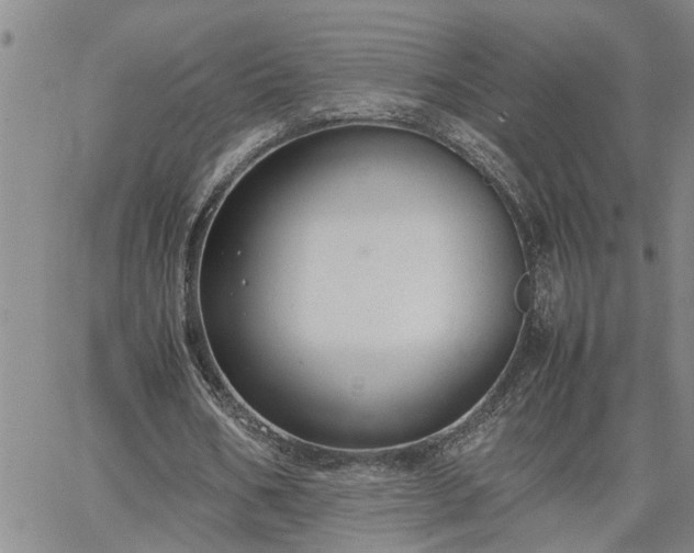 X0000064730578200602171644