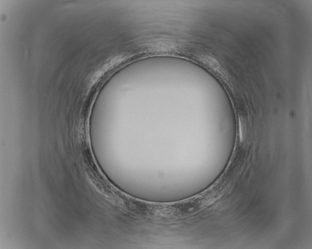 X0000064730579200602171644