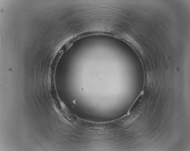 X0000064730580200602171644