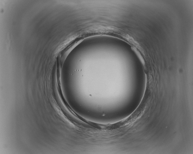 X0000064730581200602171644