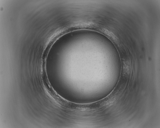 X0000064730582200602171644