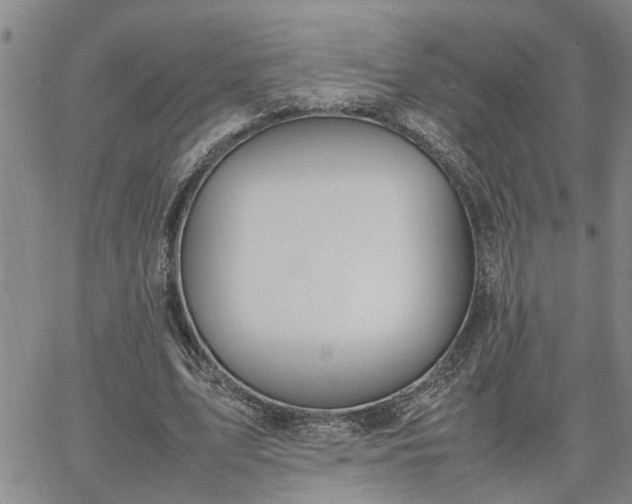 X0000064730583200602171644