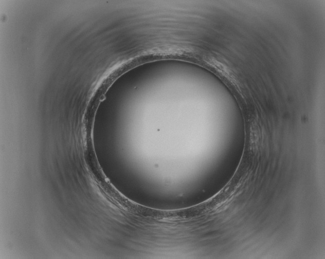 X0000064730584200602171644