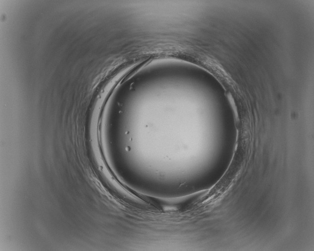 X0000064730585200602171644