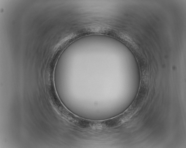 X0000064730587200602171644