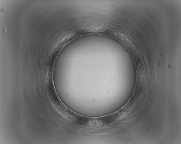 X0000064730591200602171644