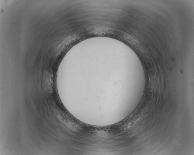 X0000064730592200602171644