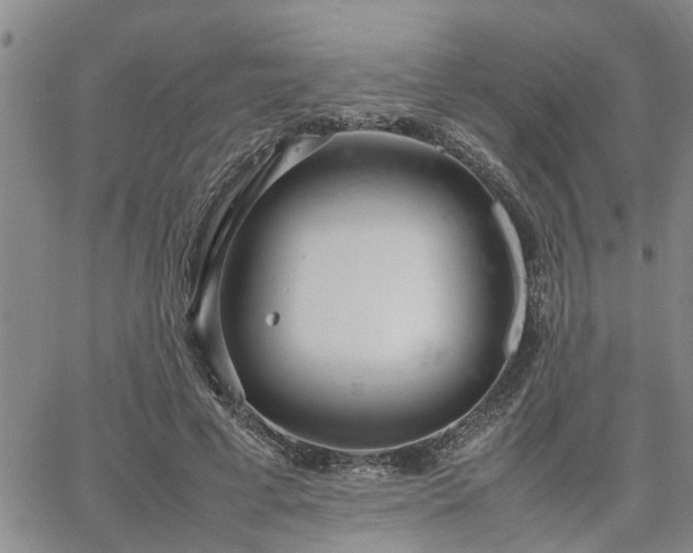 X0000064730593200602171644