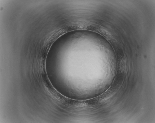 X0000064730594200602171644