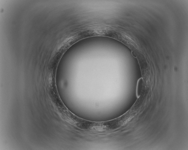 X0000064730595200602171643