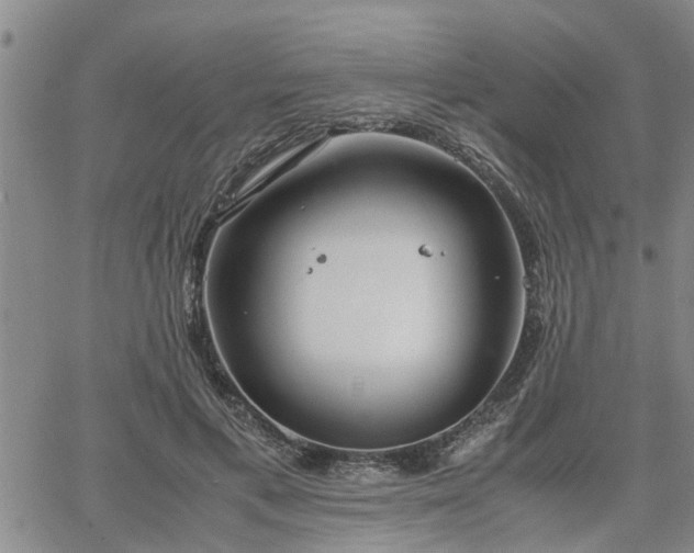 X0000064730597200602171643