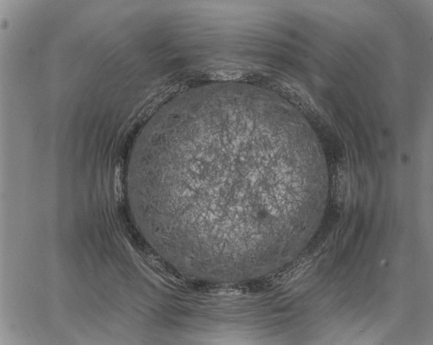 X0000064730598200602171643