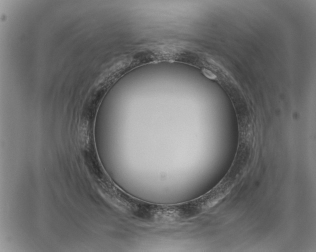 X0000064730599200602171643