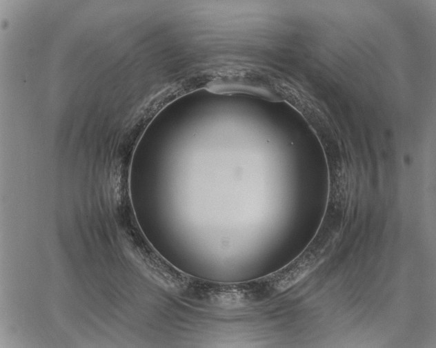 X0000064730600200602171643