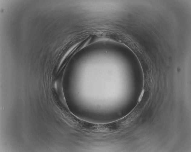 X0000064730601200602171643