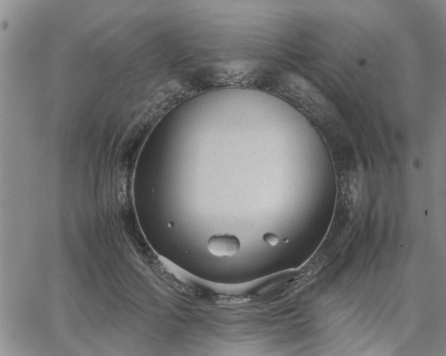 X0000064730602200602171643