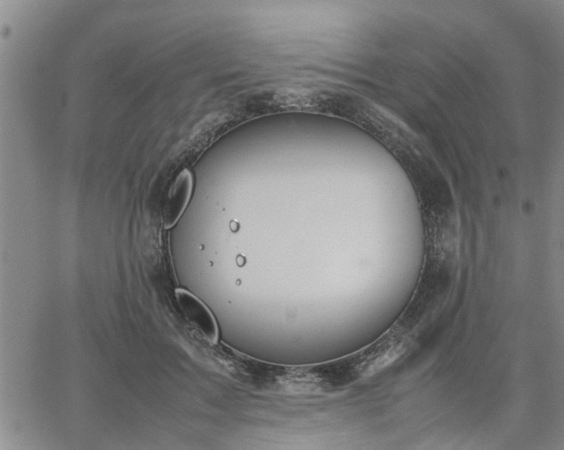 X0000064730603200602171643