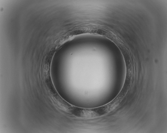 X0000064730605200602171643