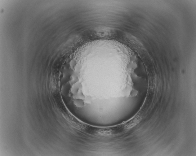 X0000064730606200602171643