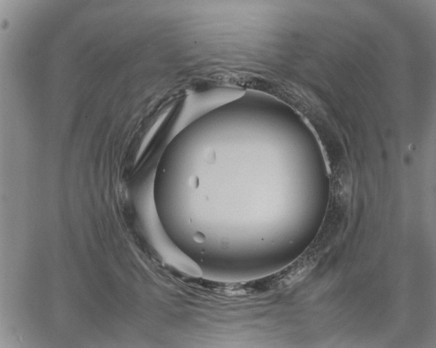 X0000064730607200602171643