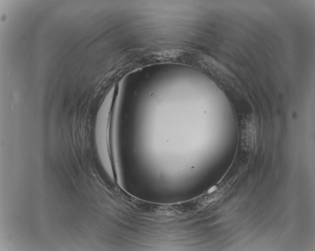 X0000064730608200602171643