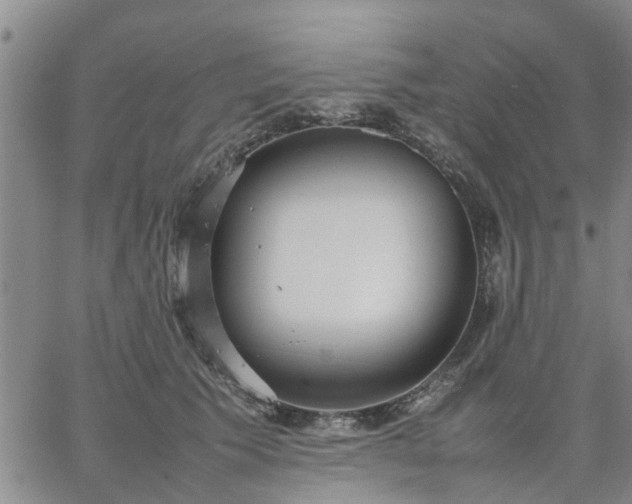 X0000064730609200602171643