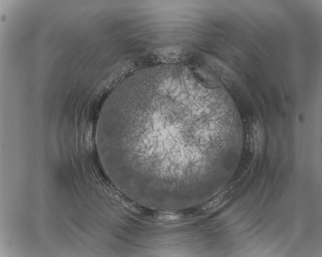 X0000064730610200602171643