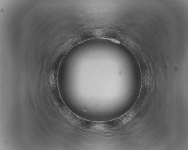 X0000064730611200602171643