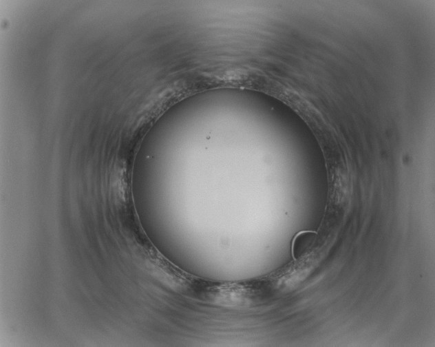 X0000064730612200602171643