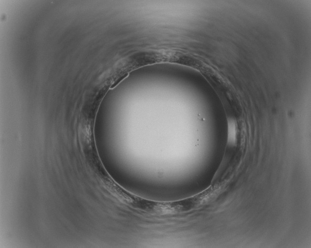 X0000064730613200602171643