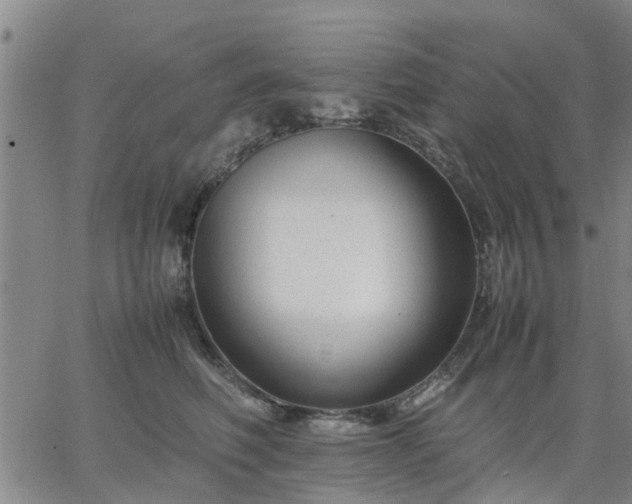 X0000064730614200602171643