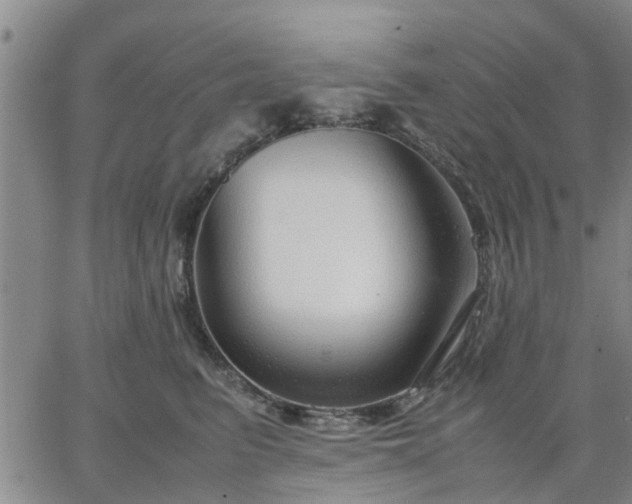 X0000064730615200602171643