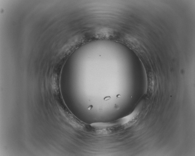 X0000064730616200602171643