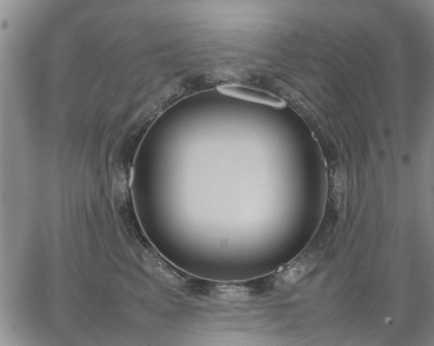 X0000064730617200602171643