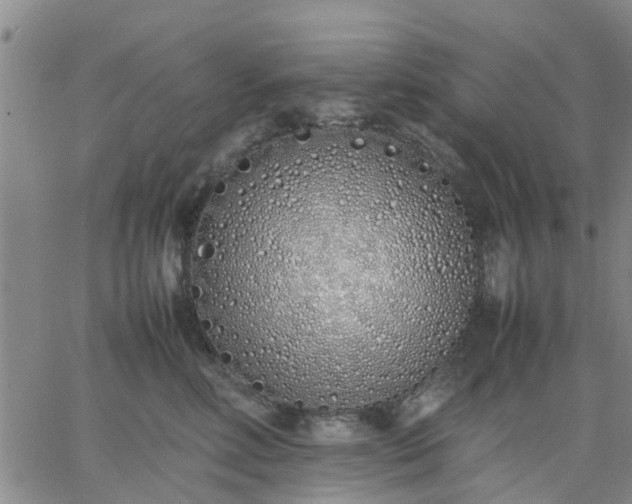 X0000064730618200602171643