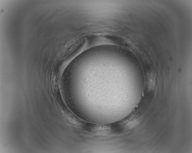 X0000064730619200602171643