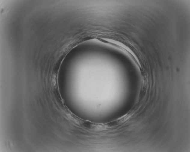 X0000064730621200602171643