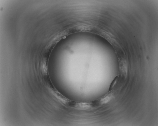 X0000064730622200602171643