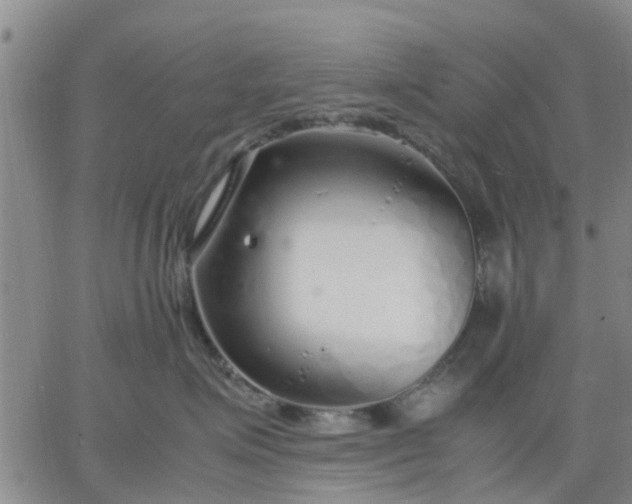 X0000064730623200602171643