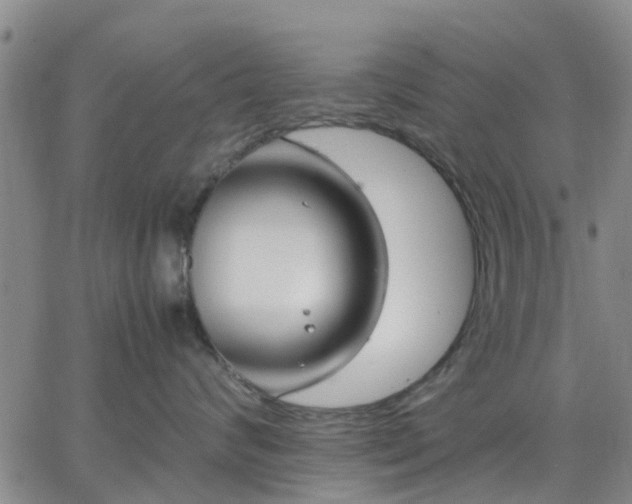 X0000064730624200602171643