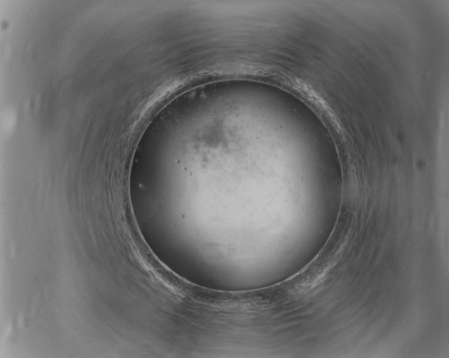 X0000064730625200602171642