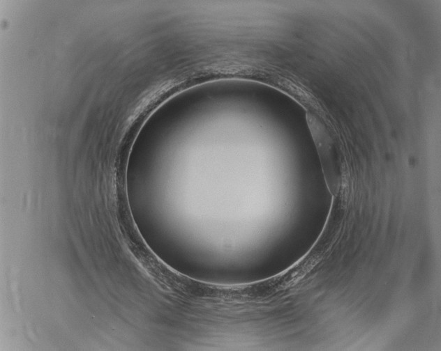 X0000064730626200602171642