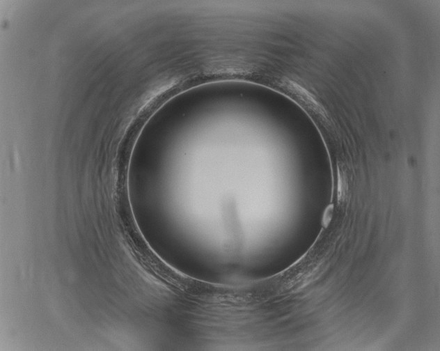 X0000064730627200602171642