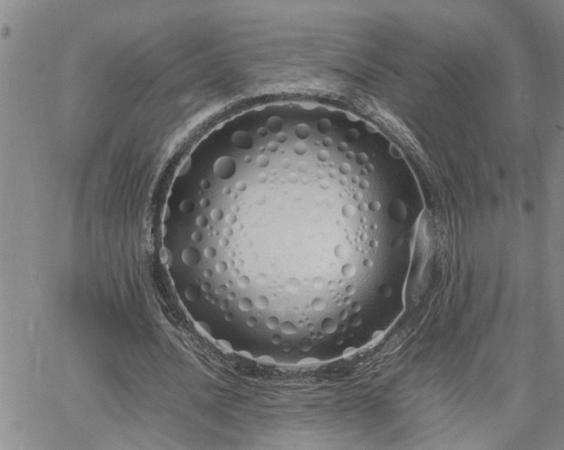 X0000064730628200602171642