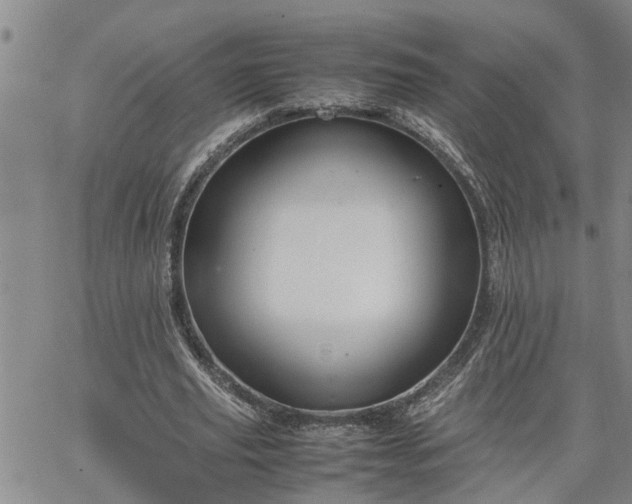 X0000064730629200602171642