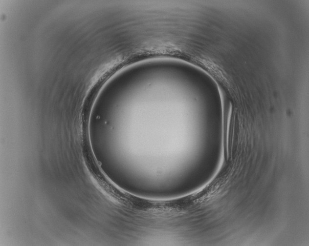 X0000064730630200602171642