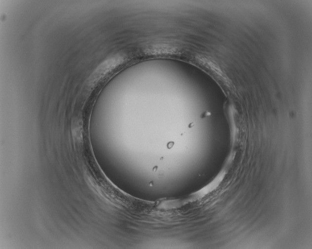 X0000064730631200602171642